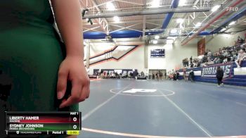 170 lbs Semifinal - Liberty Hamer, Macomb vs Sydney Johnson, Peoria (Richwoods)