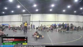 92 lbs Round 1 (3 Team) - Carter Evans, Team Palmetto vs Ethan Halstead, Backyard Brawlers