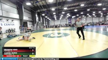 110 lbs Rd# 10- 4:00pm Saturday Final Pool - Gabriel Burns, Minion Green vs Brandon Veno, Team Ohio