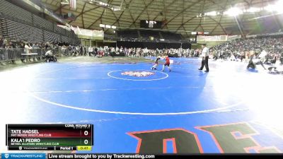 63 lbs Cons. Round 3 - Tate Hadsel, Mat Demon Wrestling Club vs Kala`i Pedro, Bethel AllStars Wrestling Club