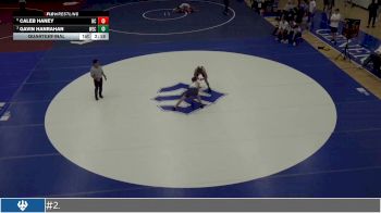 133 lbs Quarterfinal - Gavin Hanrahan, Wisconsin Eu Claire vs Caleb Haney, Roanoke College