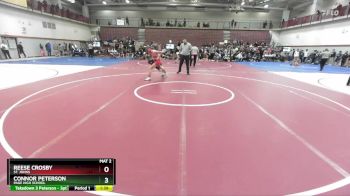 132 lbs Quarterfinal - Connor Peterson, Page High School vs Reese Crosby, St. Johns