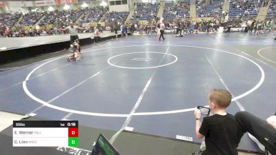 55 lbs Consi Of 4 - Eli Werner, Palisade Little Dawgs vs Carson Linn, Wrecking Crew