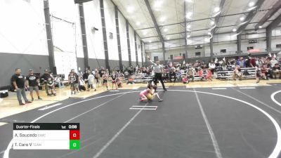 46 lbs Quarterfinal - Alianna Saucedo, Siwc vs Thomas Caro V, Team Aggression