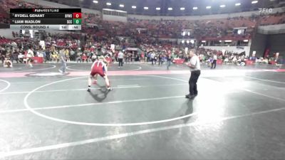 165 lbs Cons. Round 4 - Liam Madlon, St Croix Central vs Rydell Gehant, Big Foot Wrestling Club