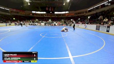 113 lbs Quarterfinal - Dylan Anderson, Somerton High School vs Gavin Palace, Payson