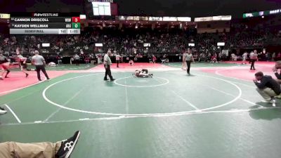 132 lbs Semifinal - Cannon Driscoll, WSW1 vs Kayden Wellman, ARC3