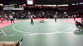 132 lbs Semifinal - Cannon Driscoll, WSW1 vs Kayden Wellman, ARC3