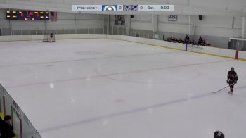 Replay: Home - 2024 PAL Islanders vs WBS Knights | Dec 14 @ 3 PM