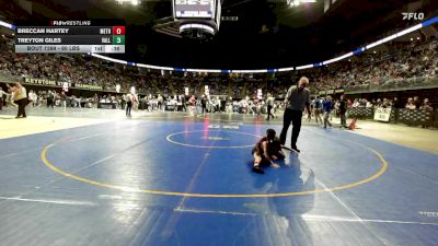 60 lbs Consy 2 - Breccan Hartey, Methacton vs Treyton Giles, Valley View