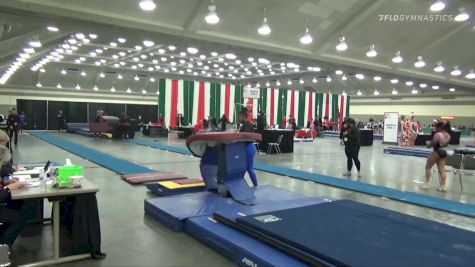 McKinsey Kepler - Women's Group, Bull Run Gymnastics - 2021 Christmas on the Chesapeake