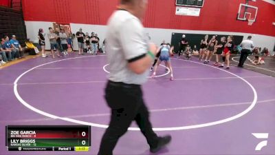 100 lbs Round 1 (8 Team) - Lily Briggs, Kansas Silver vs Zoe Garcia, Big Dog Ranch