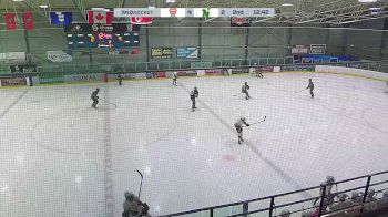 Replay: Home - 2025 NWCAA Bronks U15 vs CNHA Black U15 | Mar 8 @ 12 PM