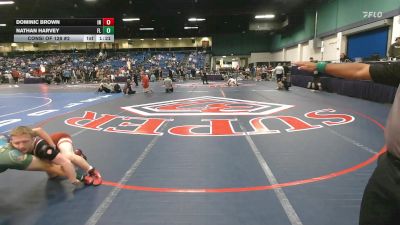 126 lbs Consi Of 128 #2 - Dominic Brown, IN vs Nathan Harvey, FL