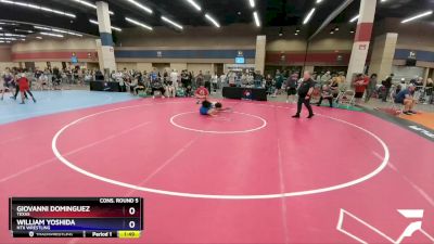 113 lbs Cons. Round 5 - Giovanni Dominguez, Texas vs William Yoshida, NTX Wrestling