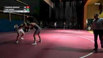 175 lbs Cons. Round 3 - Cael Rotert, Algona vs Harrison Brinegar, PCM, Monroe