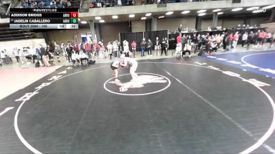 190 lbs Champ. Round 3 - Jadelin Caballero, Unattached vs Addison Briggs, Westville