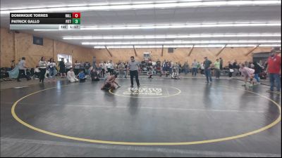 110 lbs Quarterfinal - Dominique Torres, Hallstead vs Patrick Gallo, Pittsford