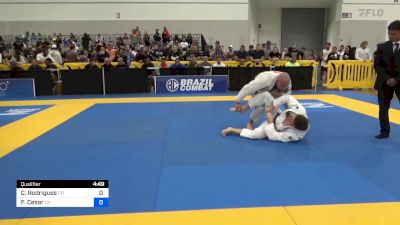 Caue Rodrigues vs Frederico Cesar 2024 World Masters IBJJF Jiu-Jitsu Championship