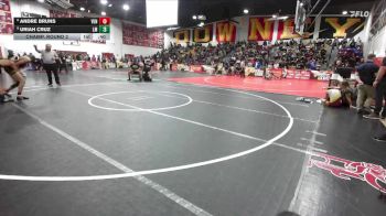 120 lbs Champ. Round 2 - Uriah Cruz, La Mirada vs Andre Bruns, Ventura