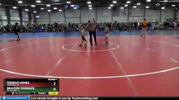 48 lbs Theseus Gomez, Team USA vs Brayden Gissinger, PA Yellow
