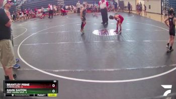 55 lbs Round 6 (8 Team) - Brantley Prine, Alabama Elite vs Gavin Saxton, West Virginia Wild