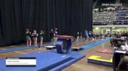 Kylie Hensley - Women's Group, Dubuque All Around Gymnastics - 2021 Women's Xcel Region 4 Championships