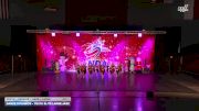 Dance Dynamics - Youth Elite Large Jazz [2025 Youth - Premier - Jazz - Large Day 1] 2025 NDA Houston Regional