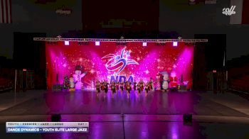 Dance Dynamics - Youth Elite Large Jazz [2025 Youth - Premier - Jazz - Large Day 1] 2025 NDA Houston Regional