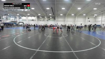 169 lbs Consi Of 8 #2 - Mason Trela, Methuen vs Bryce Gushee-Brown, USA Wrestling Maine East