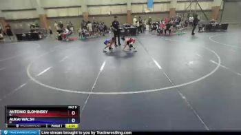 70 lbs Cons. Round 3 - Antonio Slominsky, NJ vs Aukai Walsh, HI