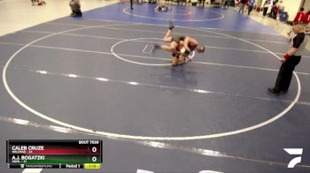 135 lbs Quarterfinal - Caleb Cruze, Willmar vs A.j. Bogatzki, ANML
