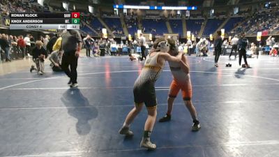 75 lbs Consy 4 - Ronan Klock, Danville vs Knox Anderson, Mt. Lebanon
