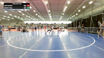 119 lbs Semifinal - Cam Olson, Micky's Maniacs Blue vs Brady Full, TSB