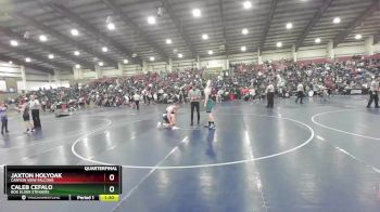 285 lbs Quarterfinal - Jaxton Holyoak, Canyon View Falcons vs Caleb Cefalo, Box Elder Stingers