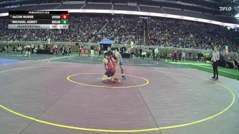 D1-106 lbs Quarterfinal - Jacob Busse, Livonia Franklin vs Michael Abbey, Hartland HS