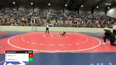 70 lbs Consi Of 8 #1 - Anderson Terry, Jackson County Wrestling Club vs Colton Mcclure, The Storm Wrestling Center