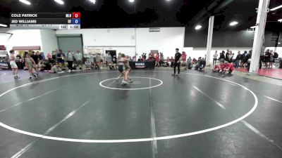 88 lbs Cole Patrick, Michigan Red vs Jed Williams, Utah
