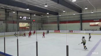 Replay: Home - 2023 Knights U10 vs Nationals U10 | Nov 23 @ 5 PM