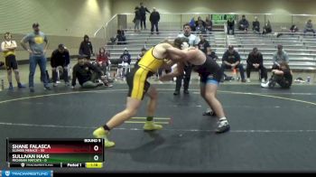 200 lbs Round 5 (6 Team) - Shane Falasca, Illinois Menace vs Sullivan Haas, Michigan Matcats