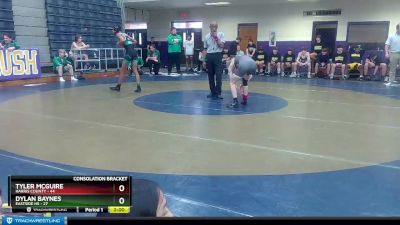 132 lbs Semis & 1st Wb (8 Team) - Dylan Baynes, Eastside Hs vs Tyler McGuire, Harris County