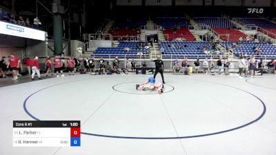 88 lbs Cons 8 #1 - Liam Parker, FL vs Dakota Harmer, MI