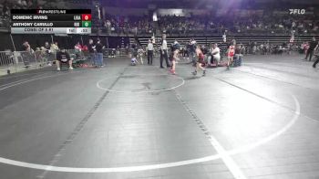 95 lbs Consi Of 8 #1 - Domenic Irving, Legal Pain vs Anthony Carullo, Red Nose