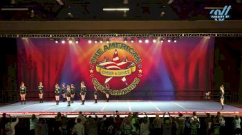 Spirit Revolution All Stars - Venom [2023 L3 Junior - D2 - Small - A Day 1] 2023 The American Royale Sevierville Nationals