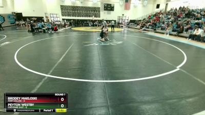 138 lbs Round 1 (10 Team) - Peyton Westby, Cheyenne East vs Brodey Makloski, Fort Collins