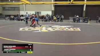 133 lbs Cons. Semi - Ryan McElwee, Ohio Wesleyan vs Jaden Hansen, Alfred State