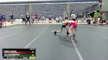 88 lbs Round 7 (10 Team) - Trent Carter, Virginia Team Predator vs Peyton Friedman, Legend Wrestling