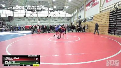 170 (172) Cons. Round 3 - Bailey Fox, Del Norte (Cresent City) vs Lorelai Labao, College Park