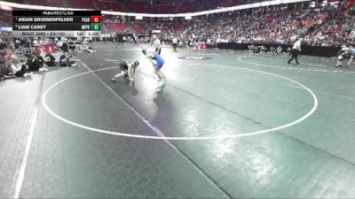 D3-120 lbs Quarterfinal - Aidan Gruenenfelder, Pecatonica/Argyle vs Liam Carey, Mineral Point