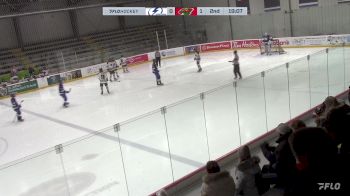 Replay: Home - 2025 Interlake U18 AAA vs Wild U18 AAA | Feb 9 @ 2 PM